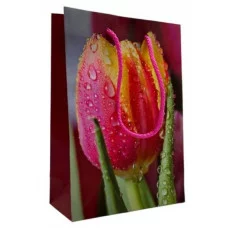 Пакет бумажный Цветы 14,2*20*6,5 1606