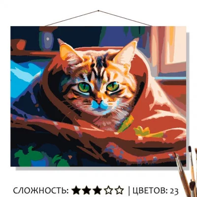 Картина по номерам на холсте 50х40 "В одеялке" Знайленд КН5040180