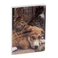 Фотоальбом 36 фото 10*15см, ArtSpace "Friends", мягкая обложка 324642