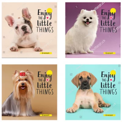 БЛОКНОТ А6 40л на цвет. спирали ВЕРНЫЕ ДРУЗЬЯ Б40-1778