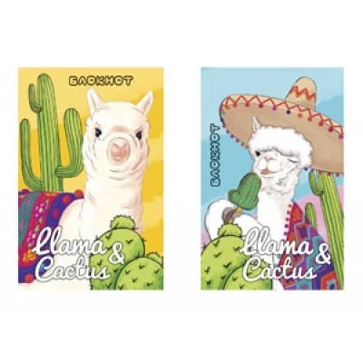 БЛОКНОТ А7 48л. ЛАМА И КАКТУСЫ Б48-6063 КБС