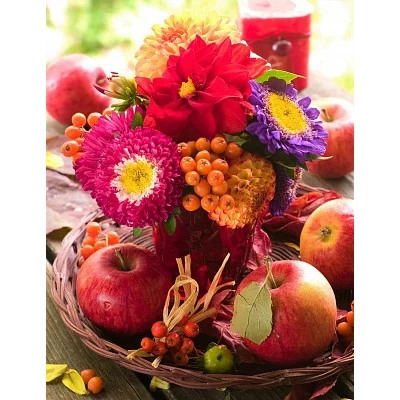 Палитра. Холст с краск. 40х50 см по ном. в пленке. Наливные яблоки ягодами и цветами (Арт. Х-7276) Х-7276