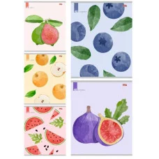Тетрадь КЛЕТКА 48л.ФРУКТЫ И ЯГОДЫ - 1 (48-3799) цвет. мелов. обл. 48-3799