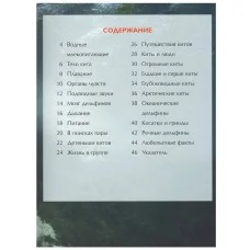 Детская энциклопедия (РОСМЭН) красная 7БЦ Киты и дельфины.