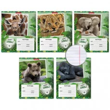 Тетрадь 12л линейка мелов "Baby Jungle" ассорти ERICH KRAUSE 48833 022942