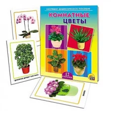 ДИД. ПОСОБИЕ. КОМНАТНЫЕ ЦВЕТЫ (Арт. ПД-9521)