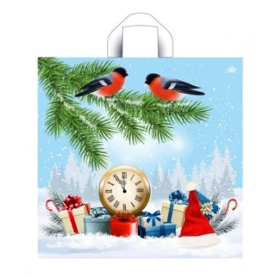 Пакет с петлевой ручкой ТИКО Пернатые друзья 42*44 17001