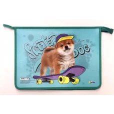 ПТ-Р13 жвт Skater dog  (36)