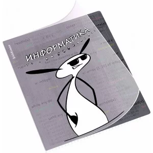 Тетрадь общая ученическая с пластиковой обложкой на скобе ErichKrause Чубрик, Информатика, 48 листов, клетка 59479