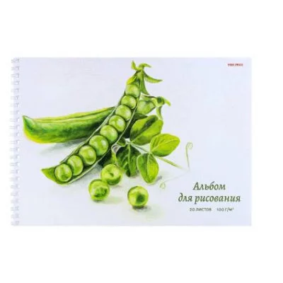 Альбом для рисования А4 20л. ИЗЯЩНЫЙ НАТЮРМОРТ (20-5106) на гребне, мелов. обл.офсет 20-5106