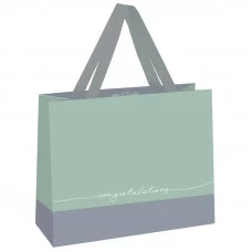 Пакет подарочный 1шт 23*18*10см MESHU "Duotone. Gray-mint", отд. фольгой, матовая ламинация 339817