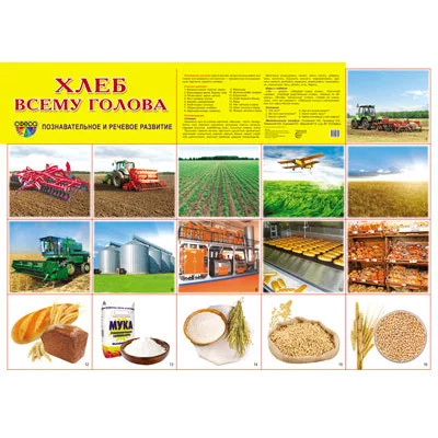 Демонстрационный плакат СУПЕР А2 Хлеб всему голова, 978-5-9949-0651-4