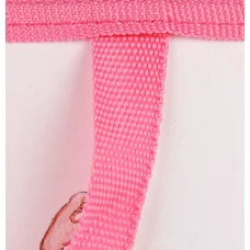 Папка для рисунков и труда БАЛЕРИНА В ТАНЦЕ А3 молния сверху пластик ПТР-1820