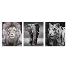 Тетрадь А5 96л "Дикие и прекрасные " КанцЭксмо ТС968554