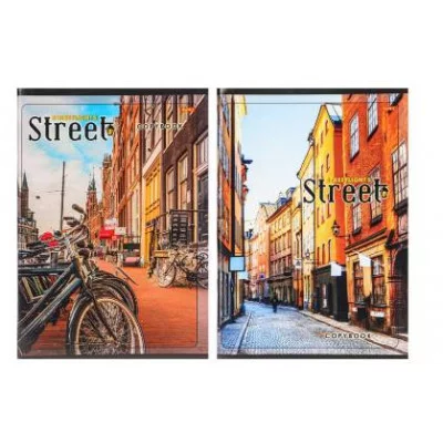 Тетрадь КЛЕТКА 96л. УЛИЦЫ МЕГАПОЛИСОВ (96-6496) обл- мелов. картон, второй блок 145х203 96-6496