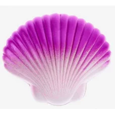 Растущие игрушки "Волшебные ракушки" МИКС 9470979