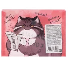Папка-конверт А6 "Зарплата котана" КанцЭксмо ПКП60358
