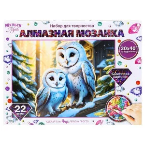Алмазная мозаика 30*40 с подрамником две совы МУЛЬТИ АРТ  AM30X40-118459