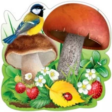Украшение на скотче"Грибы и синица" А5 Праздник 01253