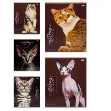 Тетрадь КЛЕТКА 48л. БЛАГОРОДНЫЕ КОШКИ (48-9380) твин-лак, цвет.мелов.обл. 48-9380