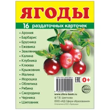 Дем. картинки СУПЕР Ягоды. 16 раздаточных карточек с текстом (учебно-методическое пособие с комплектом демонстрационного материала 63х87 мм), 978-5-9949-0990-4
