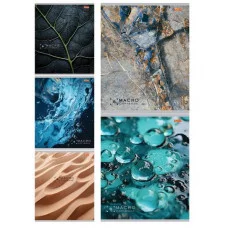 Тетрадь КЛЕТКА 48л. ПРИРОДА ВБЛИЗИ (48-3910) (обл. - цвет. мелов. второй блок) 48-3910