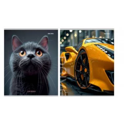 Тетрадь КЛЕТКА 96л. МИКС-9520 (96-9520) (цвет.мелов.обл.) 96-9520