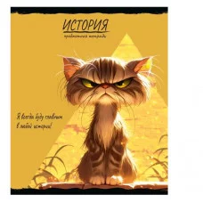 Тетрадь КЛЕТКА 48л. ИСТОРИЯ «ПРО ХВОСТ» (48-2479) стандарт, тиснение холст 48-2479