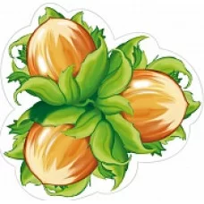 М-10662 Мини открытка Лесные орехи (190х160 мм) / (о) Детский сад Сфера