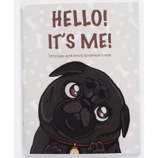 Тетрадь для записи иностранных слов А5 48л "Hello!" КанцЭксмо ТИС54897