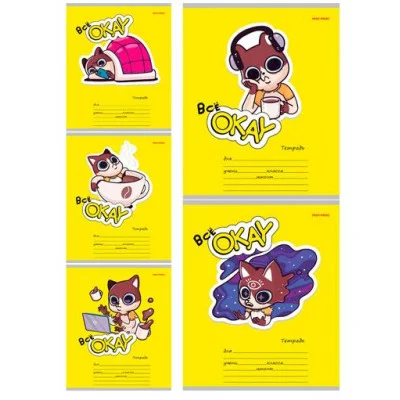 Тетрадь КЛЕТКА 18л. ВСЁ ОКЕЙ (18-5590) цвет.мелов.обл. 225079