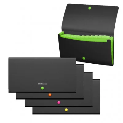 Папка-картотека пластиковая ErichKrause Matt Accent, с 13 отделениями, Check size, ассорти 1шт 50426