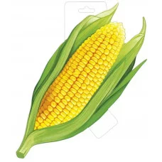 Плакат КУКУРУЗА 29.473.00
