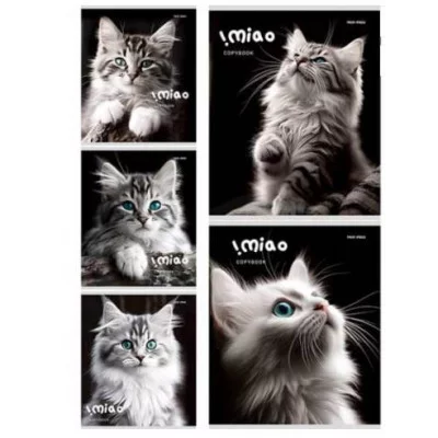 Тетрадь КЛЕТКА 48л. ЧЁРНО-БЕЛЫЕ КОТИКИ (48-4807) цветная мелованная обложка 48-4807