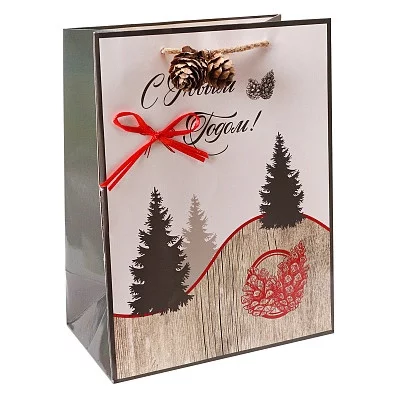 Dream cards Пакет подарочный с мат. лам. и шишкой 18x23 x10 см (M)  Поход за шишками, 210г ПКП-3755