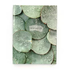 Книга для записей А6 80л "Мои мысли. Роса" КанцЭксмо КЗ6804081