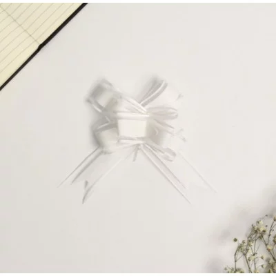 Бант-бабочка №3   7986218