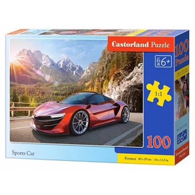 Пазлы 100 "Спорткар" (10012020/140219/0014914, Польша)