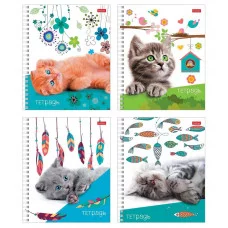 Тетрадь 48л клетка/гребень мелов "Пушистые мордочки" ассорти (4диз) 65г/м2 HATBER 48Т5В1гр 225250