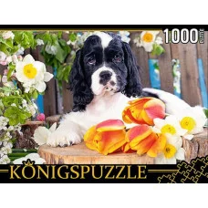 Konigspuzzle."Щенок спаниеля",пазлы 1000 элем.