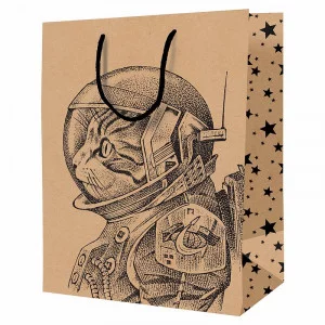 Пакет подарочный 1шт 11*14*6,5см ArtSpace "Space Cat", крафт 340218