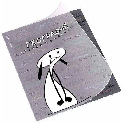 Тетрадь общая ученическая с пластиковой обложкой на скобе ErichKrause Чубрик, География, 48 листов, клетка 59475