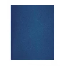 Тетрадь 96л., А4 клетка BG, бумвинил, синий 357615