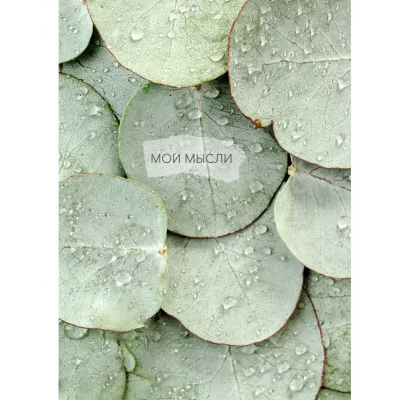 Книга для записей А6 80л "Мои мысли. Роса" КанцЭксмо КЗ6804081