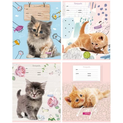 Тетрадь 12л., косая линия BG "Cat story"