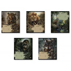 Тетрадь школьная ученическая ErichKrause Stay Wild, 24 листа, клетка _MIX-PACK 024010154-63277