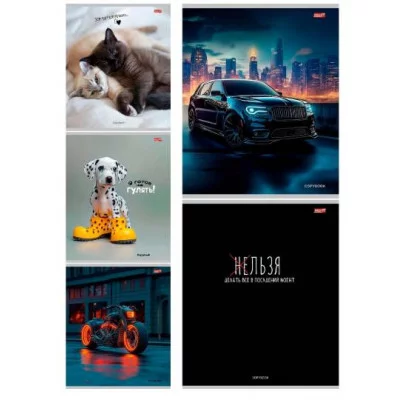 Тетрадь КЛЕТКА 48л. МИКС-3793 (48-3793) цвет. мелов. обл. 48-3793