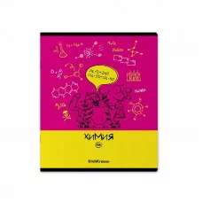 Тетрадь общая ученическая с пластиковой обложкой на скобе ErichKrause Котоформулы, ХИМИЯ, 48 листов, клетка 59509