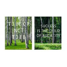 Тетрадь А5 48л "Done!" КанцЭксмо ТС2Л488453