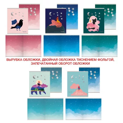 Тетрадь А5 48л "Волшебные грезы"  КанцЭксмо ТК2Л487239